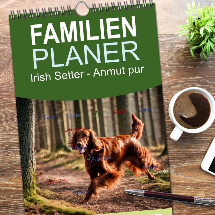 Produktbild: Familienplaner 2026 - Irish Setter - Anmut pur mit 5 Spalten (Wandkalender, 21 x 45 cm) CALVENDO