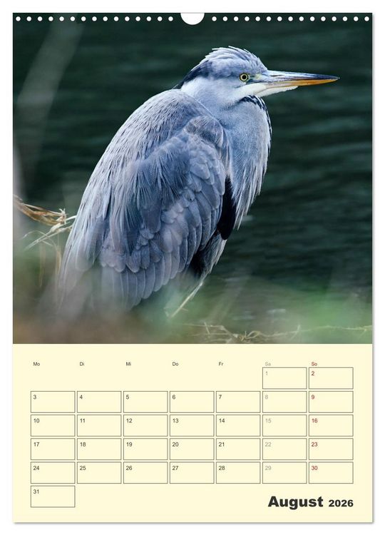 Produktbild: Vogelwelt an der Sieg (Wandkalender 2026 DIN A3 hoch), CALVENDO Monatskalender