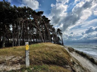 Produktbild: CALVENDO Puzzle Der Wald mit seinen charakteristischen B&auml;umen reicht bis hinunter an den Strand | 1000 Teile Lege-Gr&ouml;&szlig;e 64x48cm Foto-Puzzle f&uuml;r gl&uuml;ckl