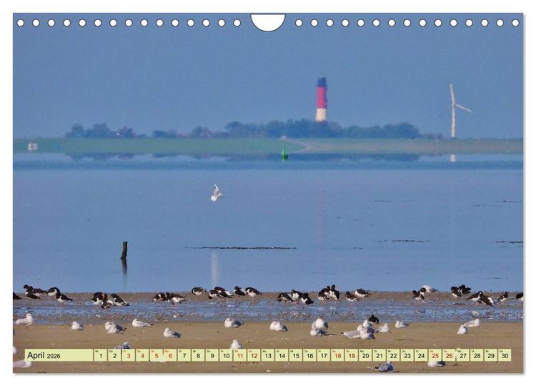 Produktbild: Sonne, Sand und Meer. Farben der K&uuml;ste (Wandkalender 2026 DIN A4 quer), CALVENDO Monatskalender