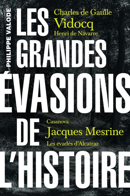Produktbild: Les grandes &eacute;vasions de l'histoire