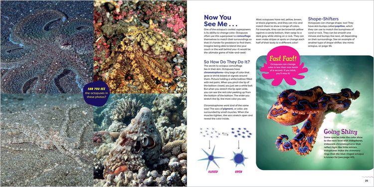 Produktbild: The Incredible Octopus