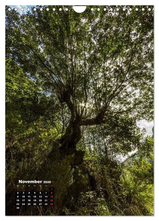 Produktbild: Levadas - Wasserwege auf Madeira (Wandkalender 2026 DIN A4 hoch), CALVENDO Monatskalender