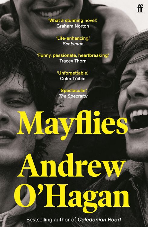 Produktbild: Mayflies