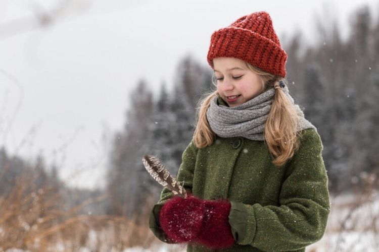 Produktbild: Weihnachten im Zaubereulenwald