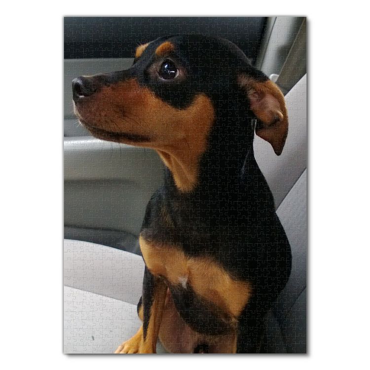Produktbild: Lais Puzzle Pinscher 1000 Teile