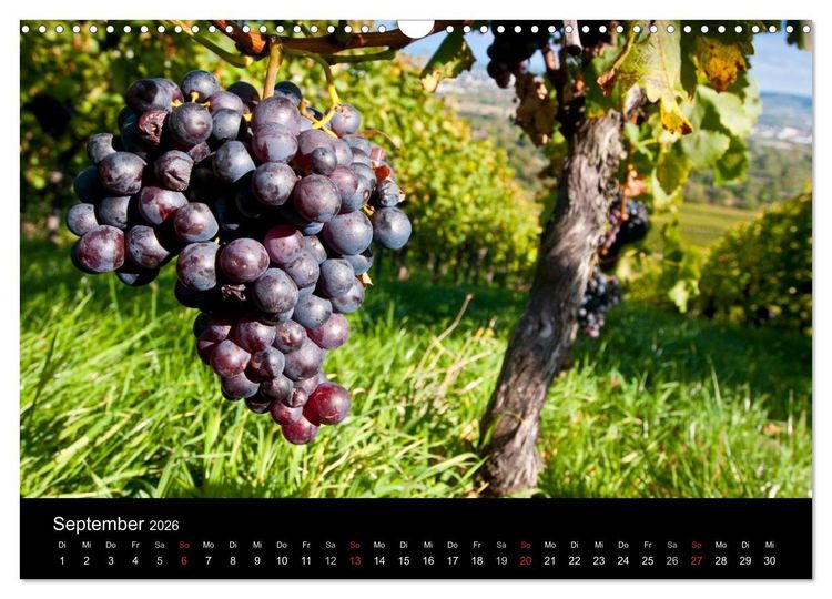 Produktbild: Weinberge im Remstal (Wandkalender 2026 DIN A3 quer), CALVENDO Monatskalender