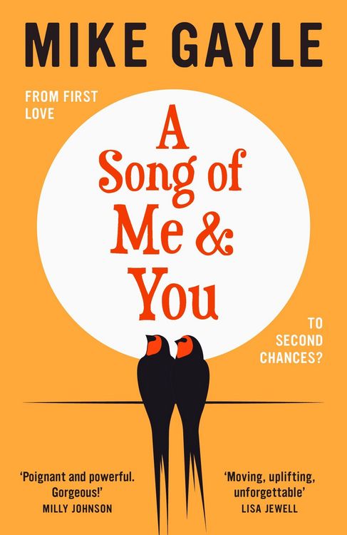 Produktbild: A Song of Me and You