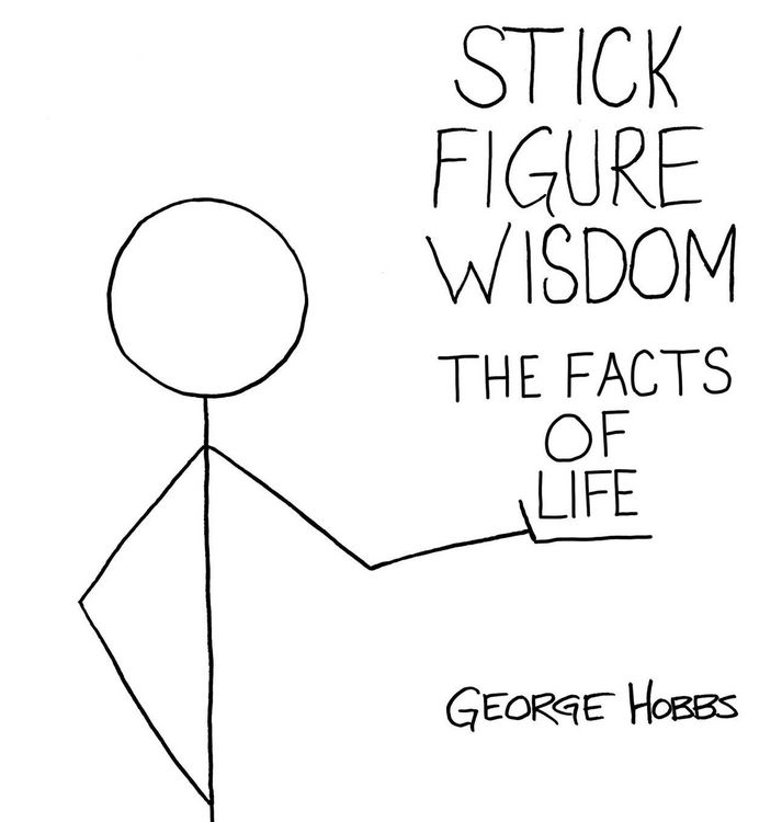 Produktbild: Stick Figure Wisdom The Facts of Life
