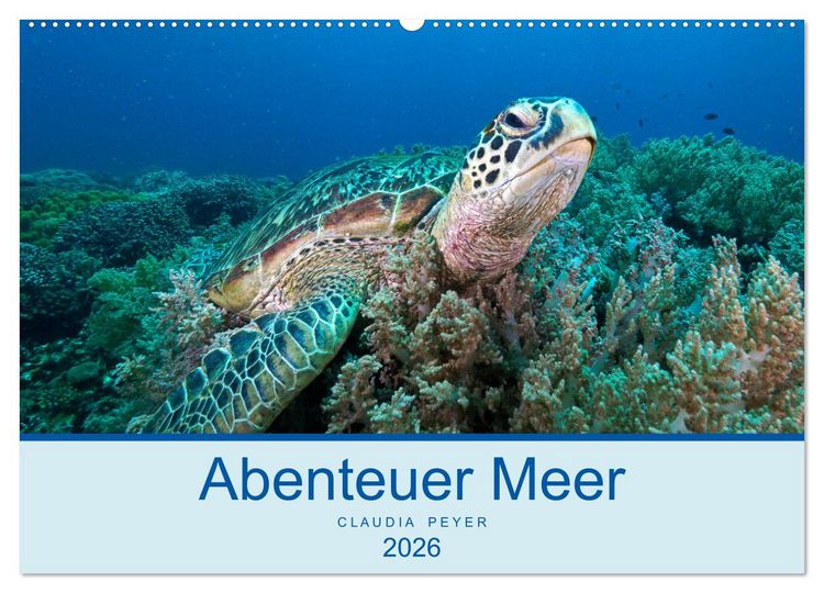 Produktbild: Abenteuer Unterwasser (Wandkalender 2026 DIN A2 quer), CALVENDO Monatskalender