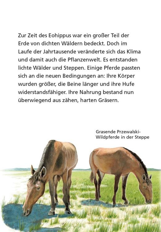 Produktbild: Pixi Wissen 1: Pferde und Ponys