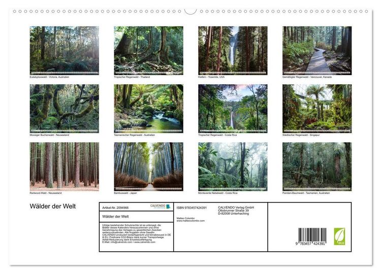 Produktbild: W&auml;lder der Welt (hochwertiger Premium Wandkalender 2026 DIN A2 quer), Kunstdruck in Hochglanz