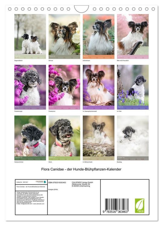 Produktbild: Flora Canidae - der Hunde-Bl&uuml;hpflanzen-Kalender (Wandkalender 2026 DIN A4 hoch), CALVENDO Monatskalender