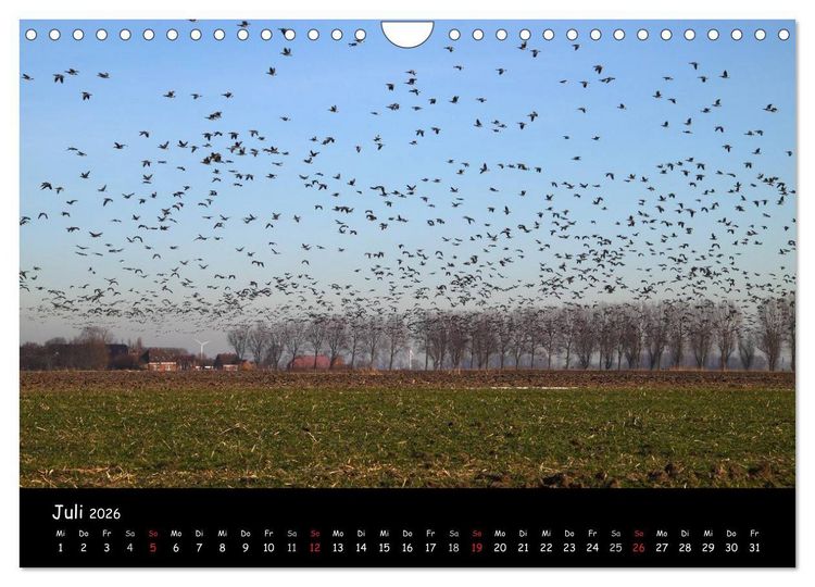 Produktbild: Schrei der Wildg&auml;nse (Wandkalender 2026 DIN A4 quer), CALVENDO Monatskalender