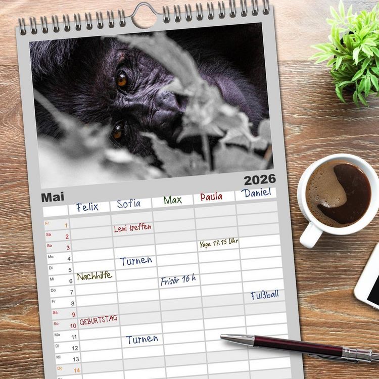 Produktbild: Familienplaner 2026 - Gorillas ohne Nebel mit 5 Spalten (Wandkalender, 21 x 45 cm) CALVENDO