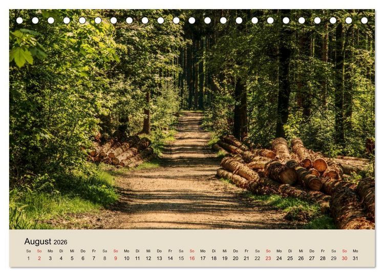 Produktbild: Der Wald. Durch zauberhafte Waldlandschaften (Tischkalender 2026 DIN A5 quer), CALVENDO Monatskalender