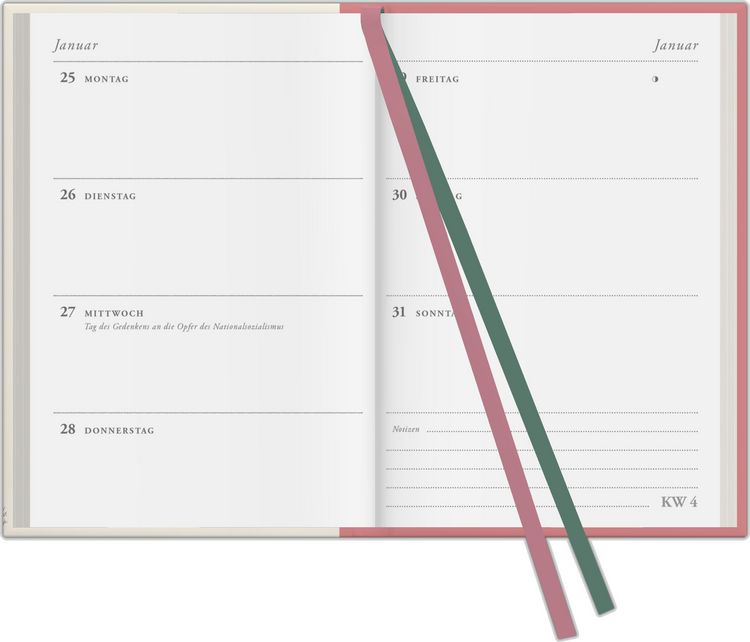 Produktbild: Redoutes Rosen 2027
