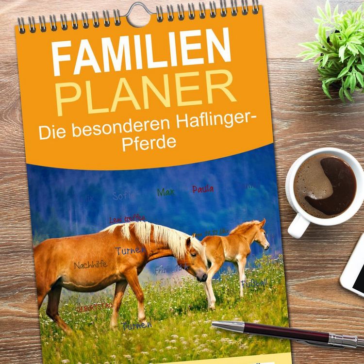 Produktbild: Familienplaner 2026 - Die besonderen Haflinger-Pferde mit 5 Spalten (Wandkalender, 21 x 45 cm) CALVENDO