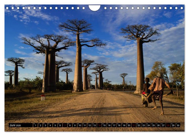 Produktbild: Madagaskar - Impressionen von Rolf Dietz (Wandkalender 2026 DIN A4 quer), CALVENDO Monatskalender