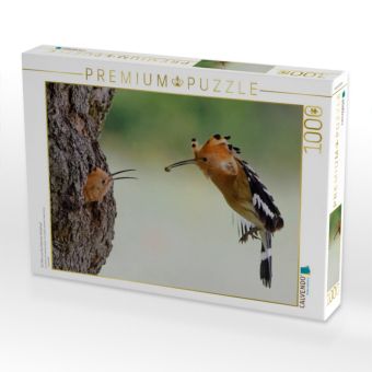 Produktbild: CALVENDO Puzzle Ein Motiv aus dem Kalender Wiedehopf | 1000 Teile Lege-Gr&ouml;&szlig;e 64x48cm Foto-Puzzle f&uuml;r gl&uuml;ckliche Stunden