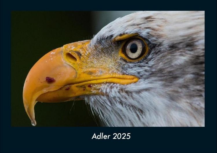 Produktbild: Adler 2025 Fotokalender DIN A4