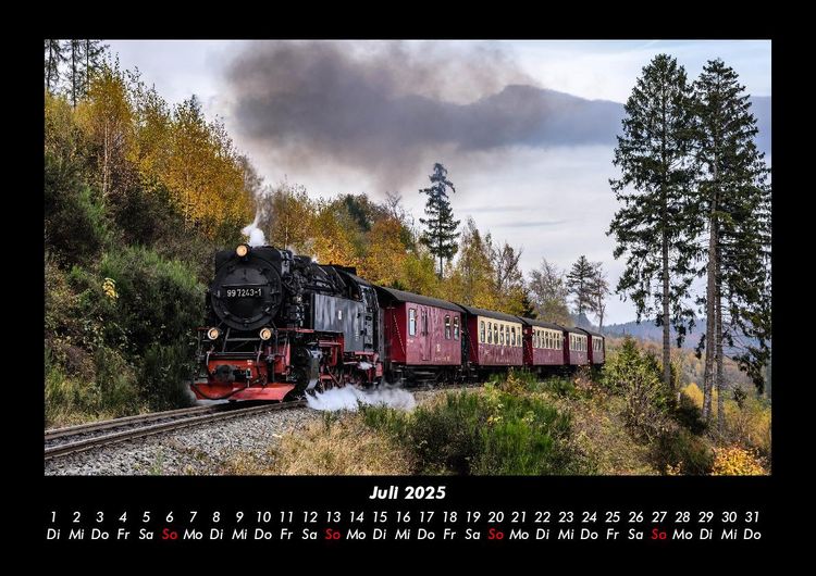 Produktbild: B&auml;ume 2025 Fotokalender DIN A3