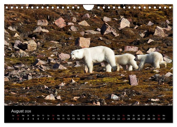 Produktbild: TRAUMZIEL ARKTIS, Impressionen vom Rand der Welt (Wandkalender 2026 DIN A4 quer), CALVENDO Monatskalender
