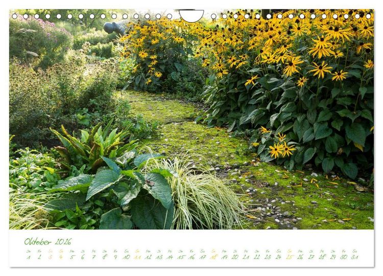 Produktbild: Kreislehrgarten in Steinfurt (Wandkalender 2026 DIN A4 quer), CALVENDO Monatskalender