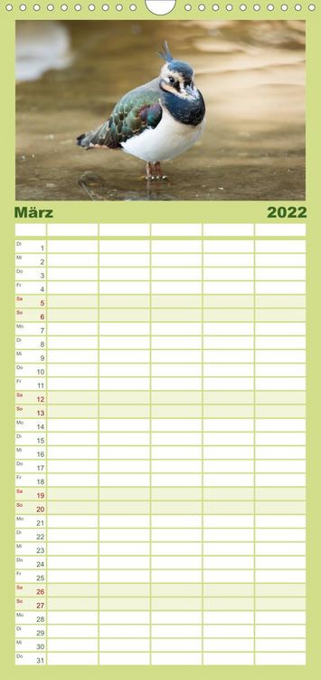 Produktbild: Familienplaner Pellworm 2022 (Wandkalender 2022 , 21 cm x 45 cm, hoch)