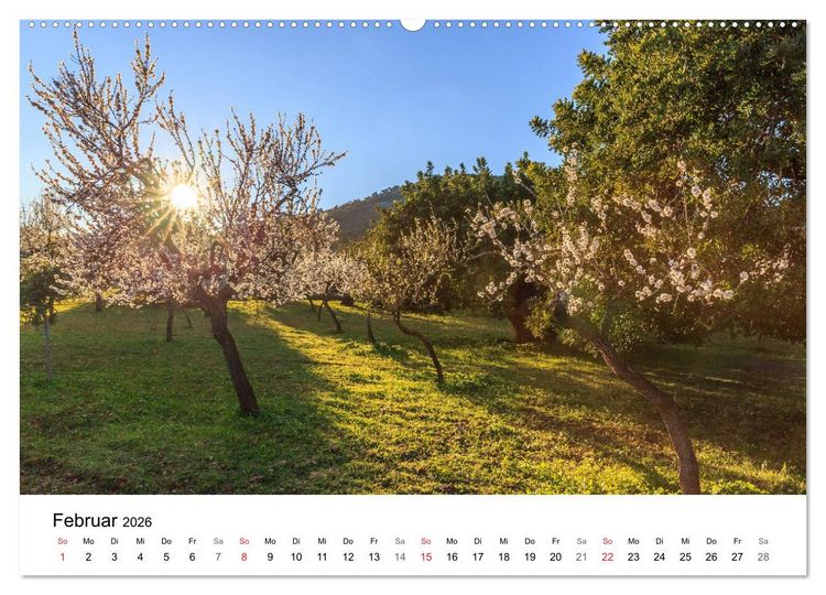 Produktbild: Europa im sch&ouml;nsten Licht (Wandkalender 2026 DIN A2 quer), CALVENDO Monatskalender