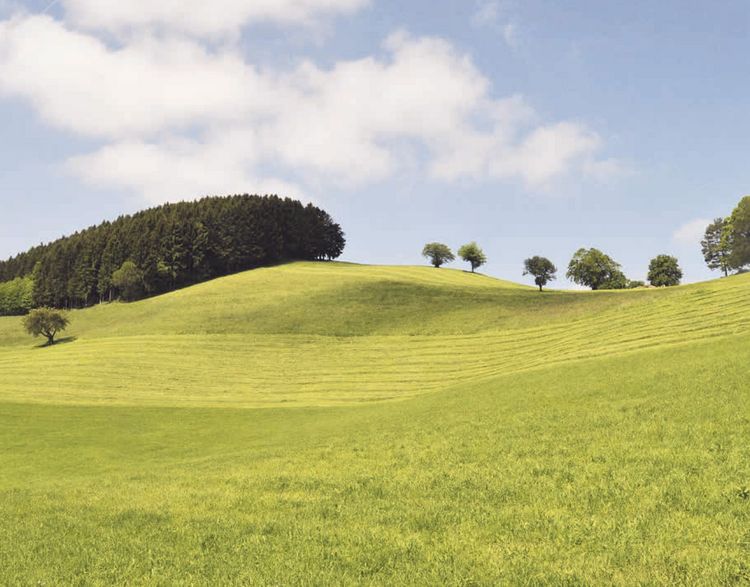 Produktbild: Wandern im Mostviertel: Vom Donaustrand zum &Ouml;tscherland
