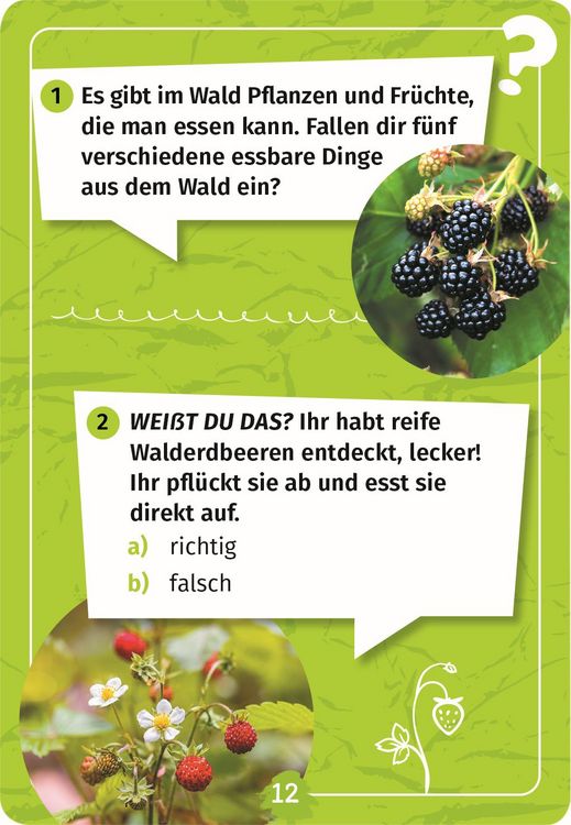 Produktbild: Expedition Natur Mein Wald-Forscherquiz