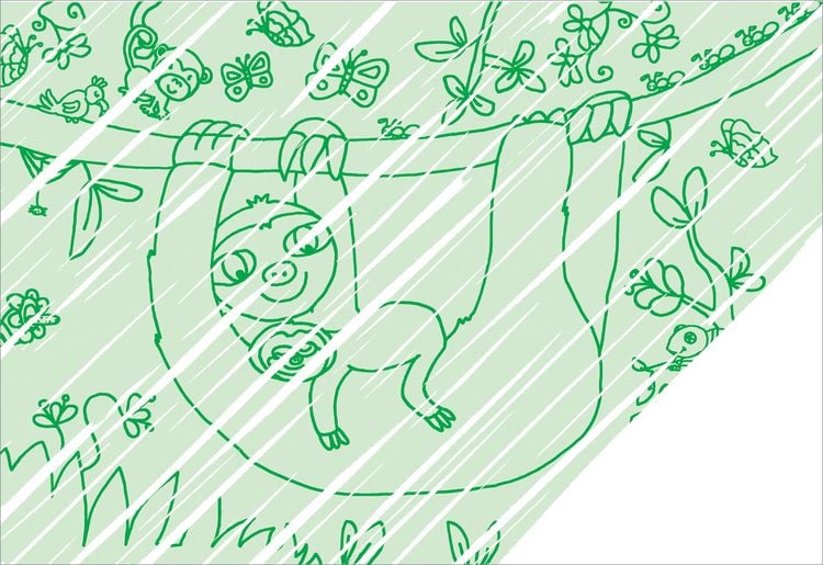 Produktbild: Zaubermalbuch. Zoo