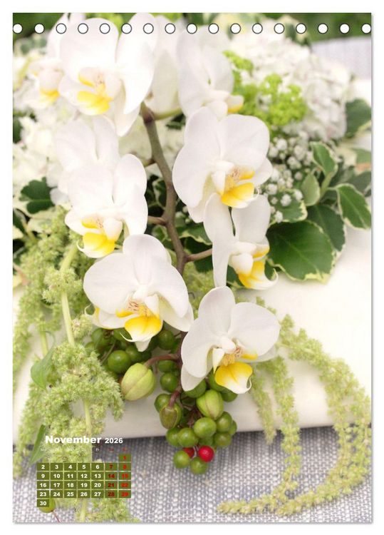 Produktbild: Orchideensch&auml;tze (Tischkalender 2026 DIN A5 hoch), CALVENDO Monatskalender
