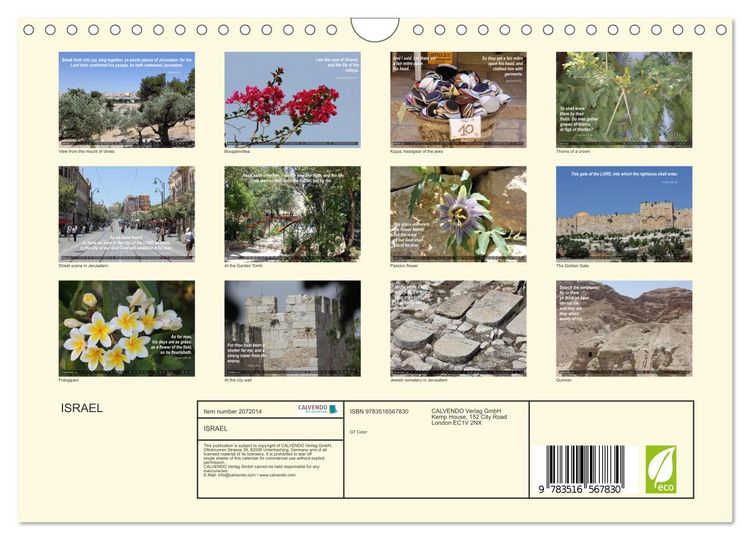 Produktbild: ISRAEL (Wall Calendar 2026 DIN A4 landscape), CALVENDO 12 Month Wall Calendar