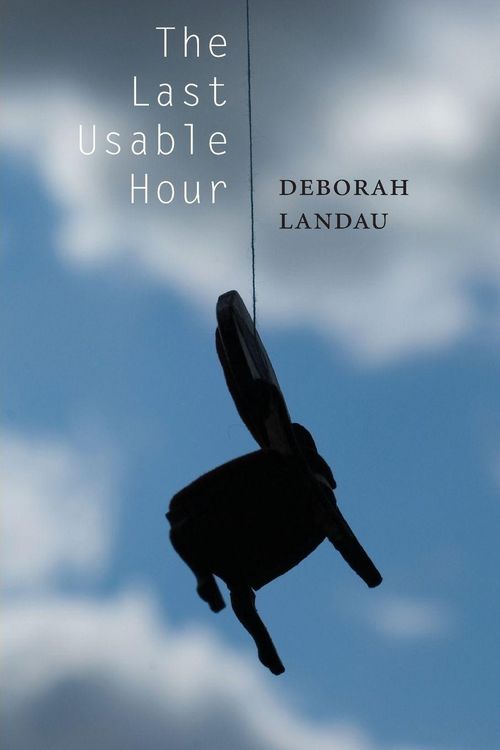 Produktbild: The Last Usable Hour