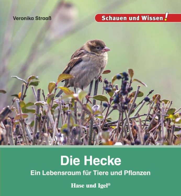 Produktbild: Die Hecke