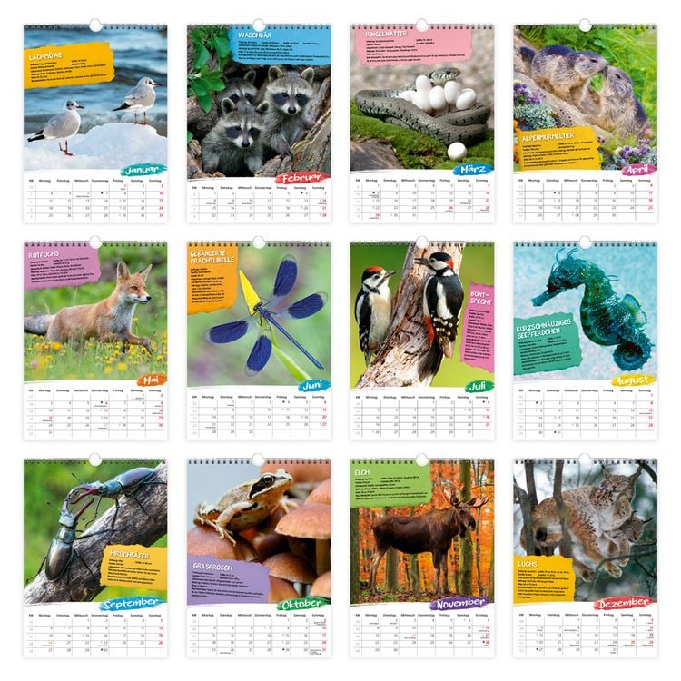 Produktbild: TR&Ouml;TSCH - Classickalender Heimische Tierwelt 2027