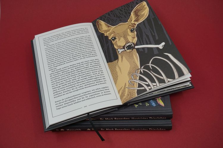 Produktbild: Kat Menschiks und des Diplom-Biologen Doctor Rerum Medicinalium Mark Beneckes Illustrirtes Thierleben
