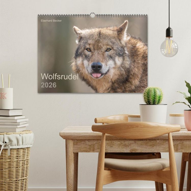 Produktbild: Wolfsrudel (Wandkalender 2026 DIN A3 quer), CALVENDO Monatskalender
