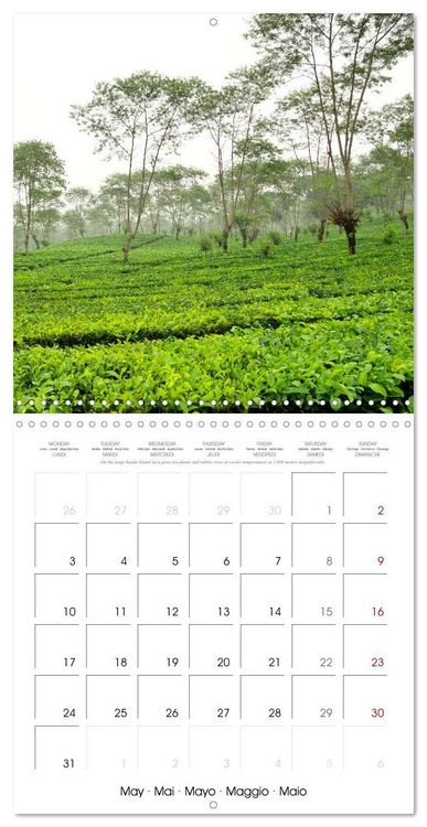 Produktbild: Travel around Java (Wall Calendar 2027 12 &times; 12 Inch) CALVENDO 12 Month Wall Calendar