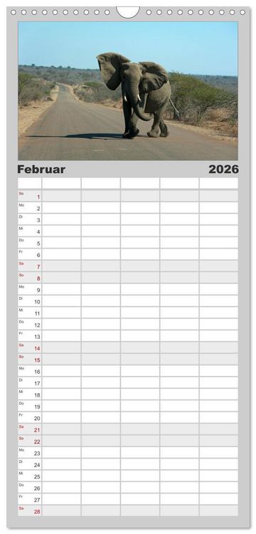 Produktbild: Familienplaner 2026 - S&uuml;dafrika mit 5 Spalten (Wandkalender, 21 x 45 cm) CALVENDO