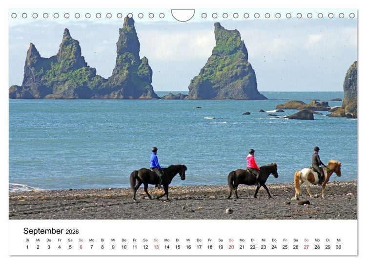 Produktbild: Die Pferde Islands - Ein Streifzug durch Island (Wandkalender 2026 DIN A4 quer), CALVENDO Monatskalender