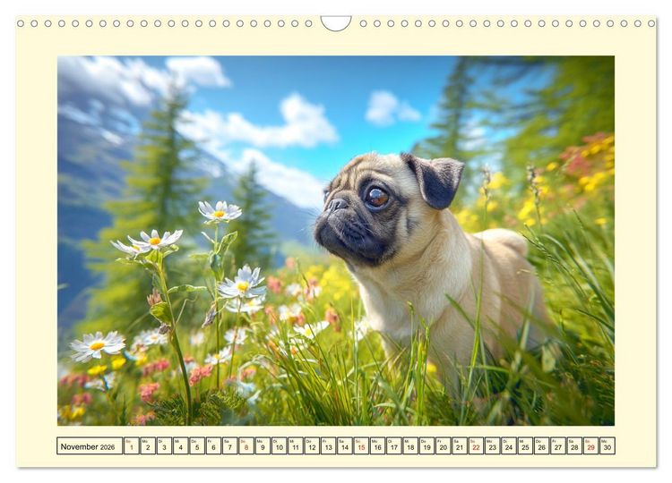 Produktbild: Mops trifft Berglust. Fidele Gipfelst&uuml;rmer im H&ouml;henrausch (Wandkalender 2026 DIN A3 quer), CALVENDO Monatskalender