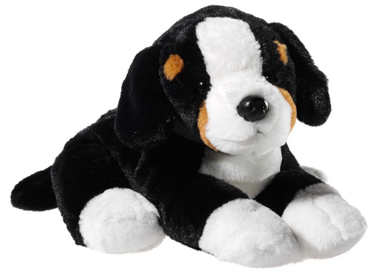 Produktbild: HUND Berner Sennehund