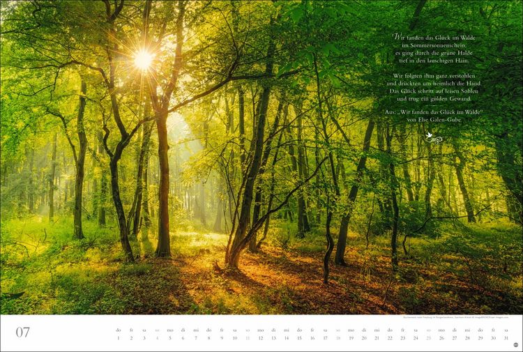 Produktbild: Der deutsche Wald - Ein literarischer Spaziergang Kalender 2027 - Ein literarischer Spaziergang