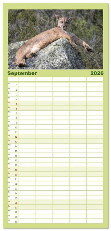 Produktbild: Familienplaner 2026 - Wildlife S&uuml;damerika mit 5 Spalten (Wandkalender, 21 x 45 cm) CALVENDO