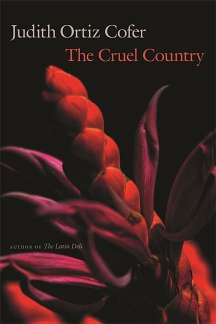 Produktbild: Cruel Country
