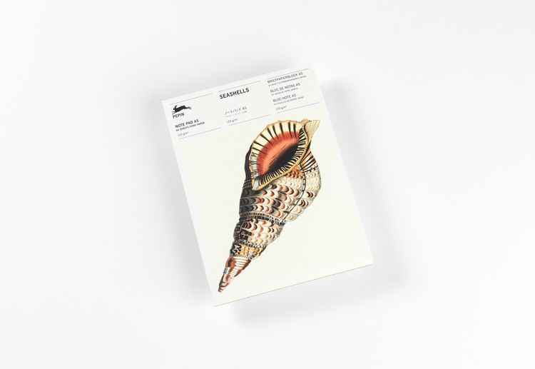 Produktbild: Seashells
