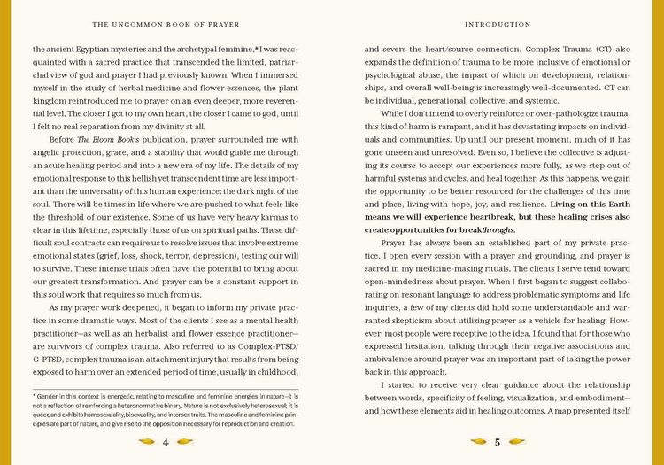 Produktbild: The Uncommon Book of Prayer